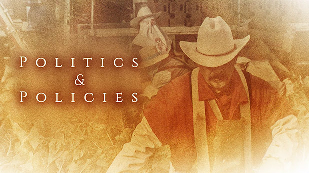 Politics and Policies