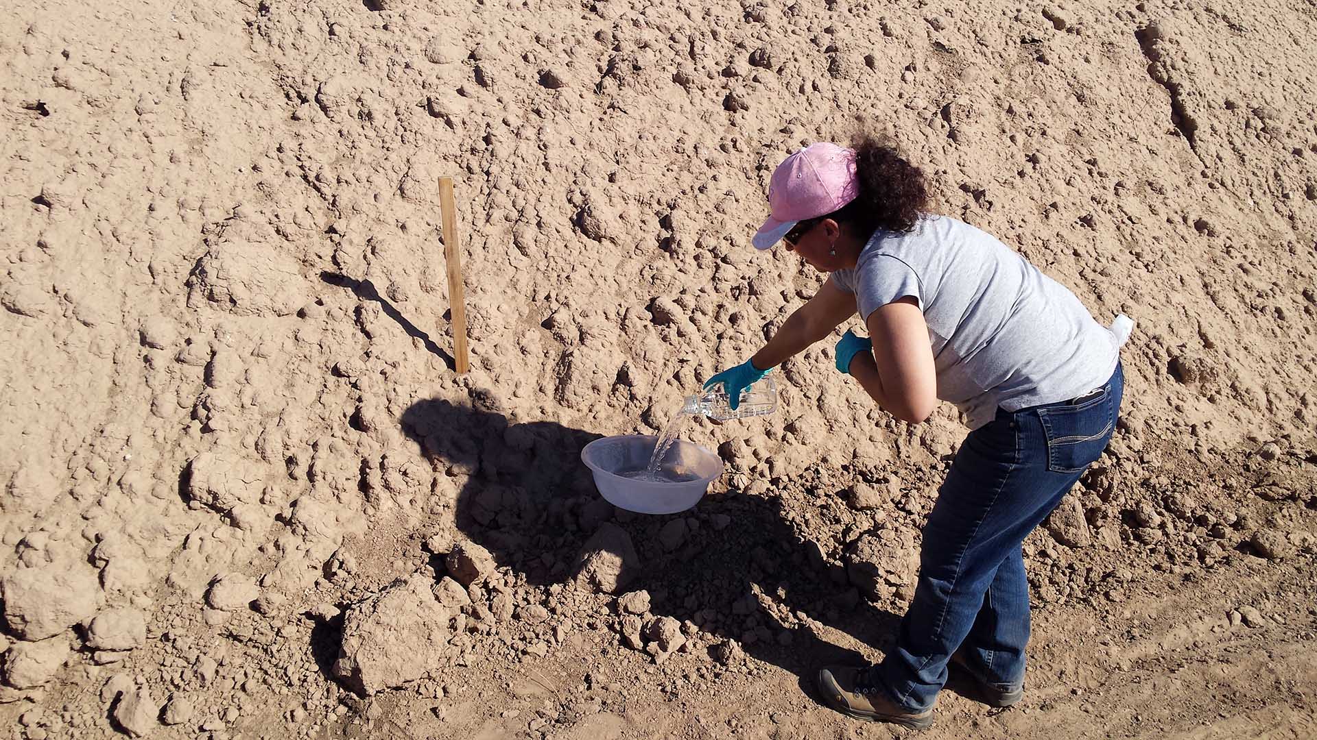 Dr. Paula Rivadeneira sets out a bucket of water to collect dust which may be carrying pathogens.