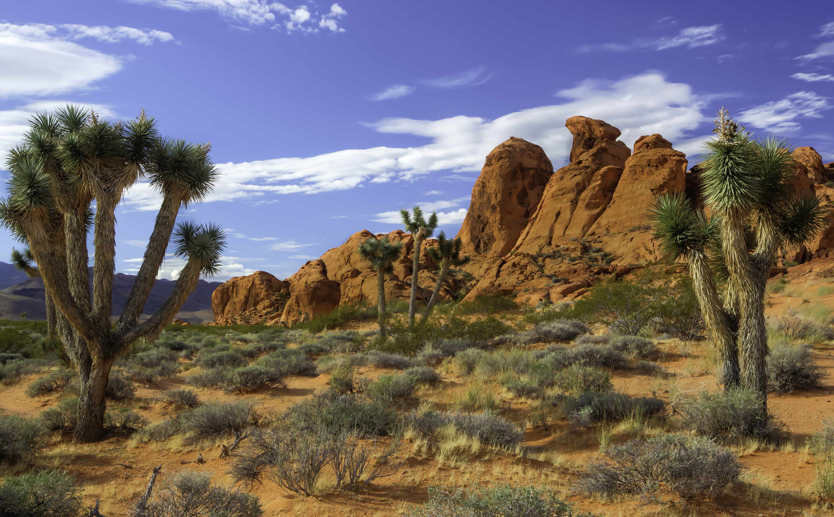 Gold Butte monument