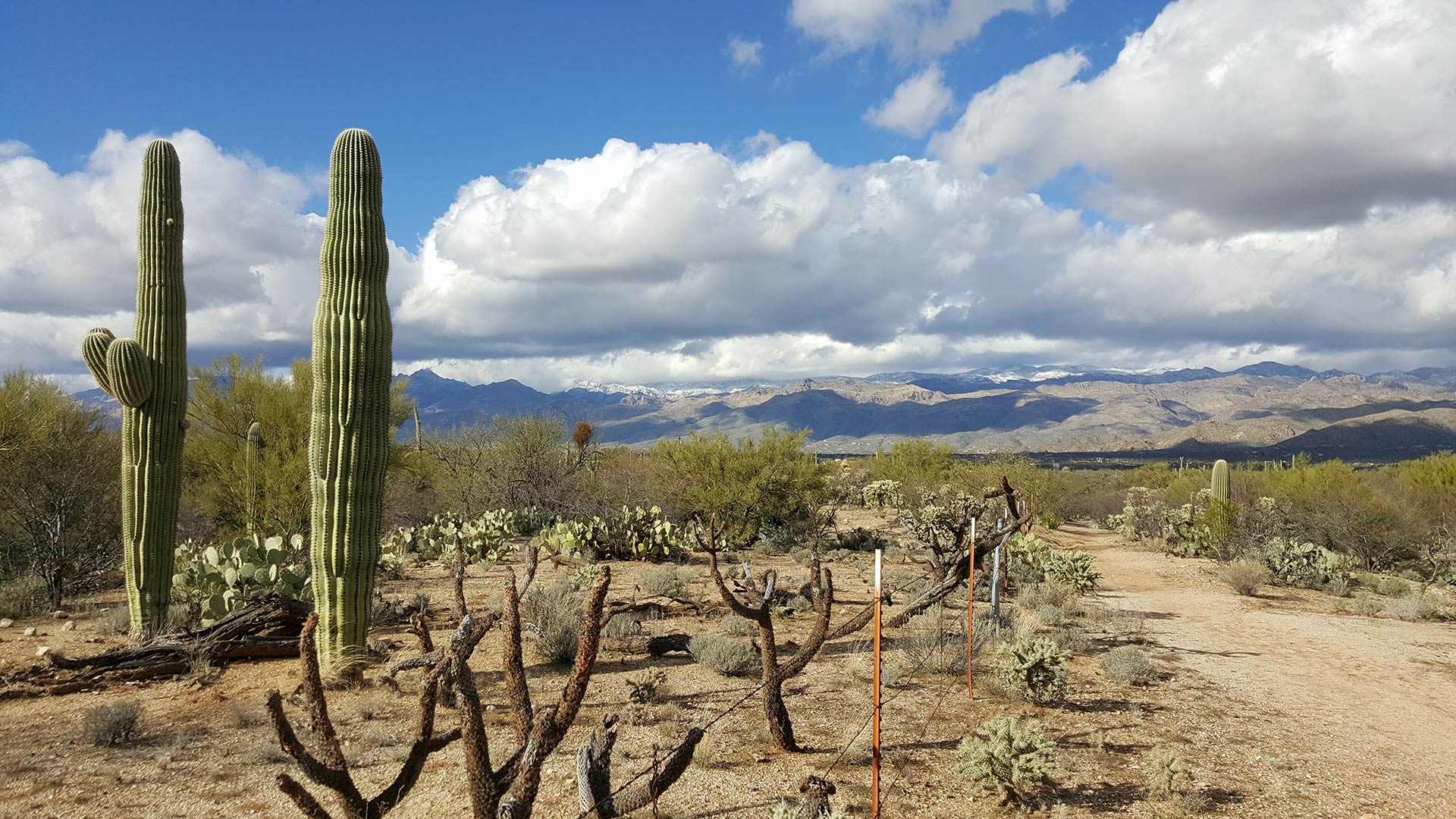 A hiking trail on Tucson's far east side.