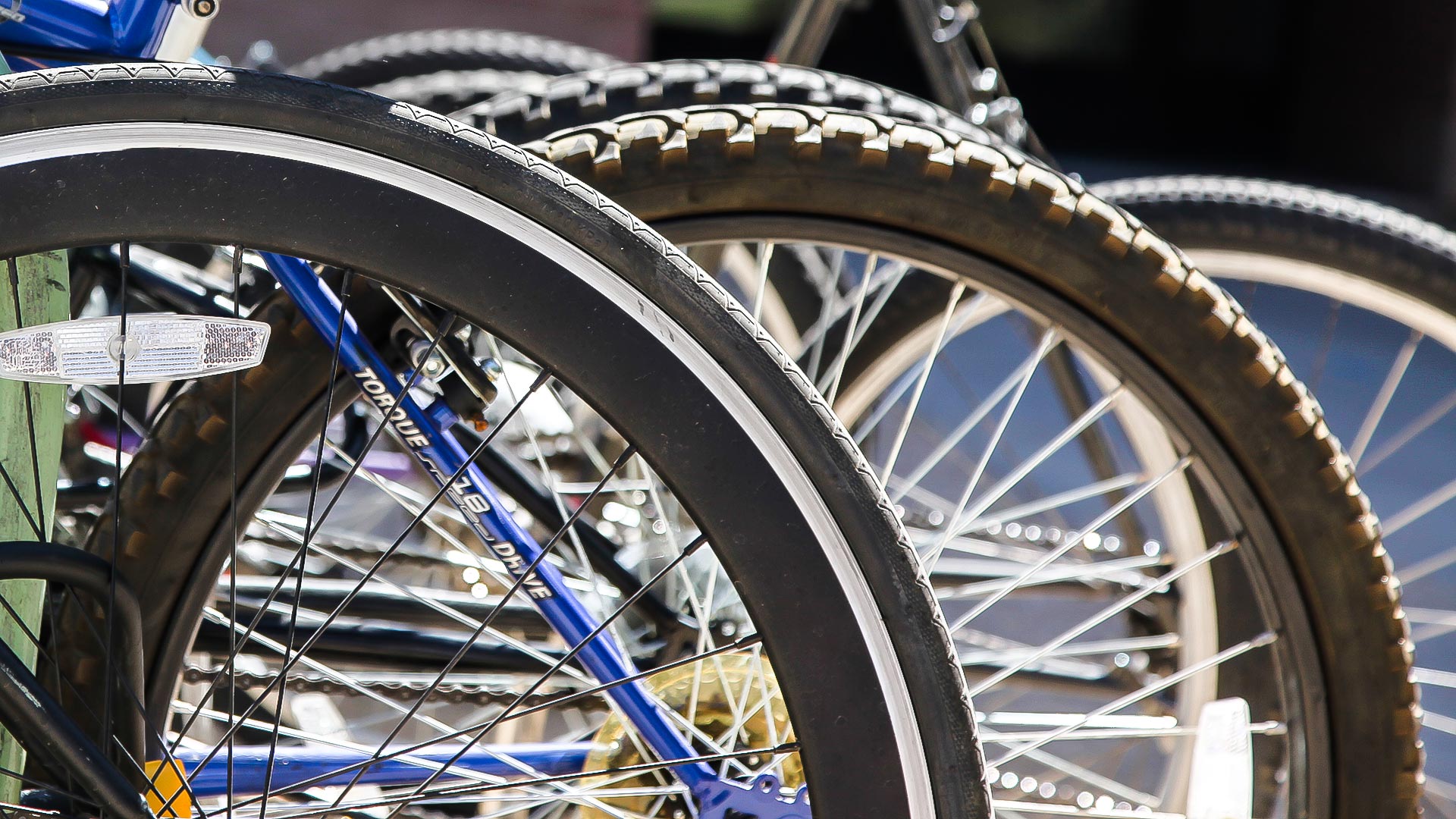 Bicycles on the University of Arizona campus.