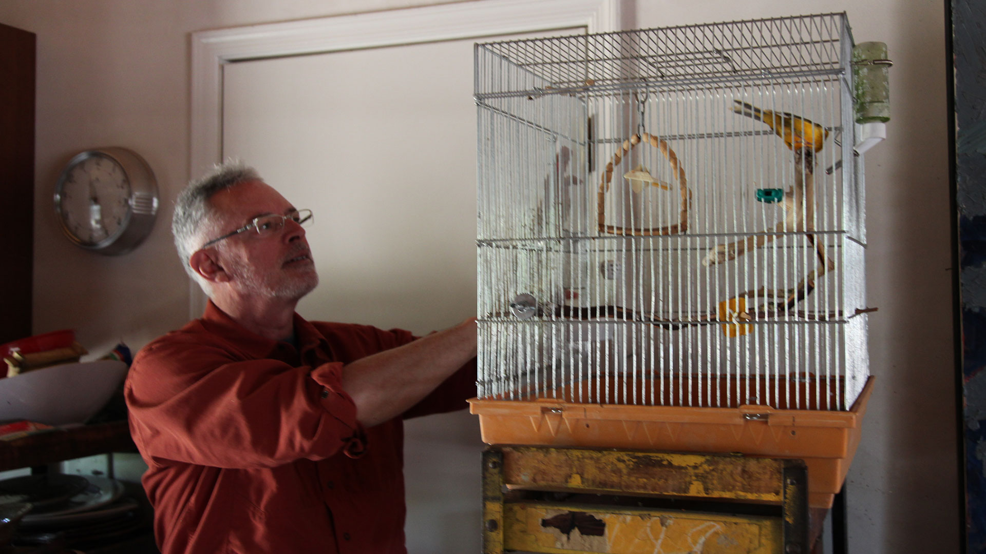 Wayne Blankenship says Puff sings frequently, especially when he hears other noises at home. 