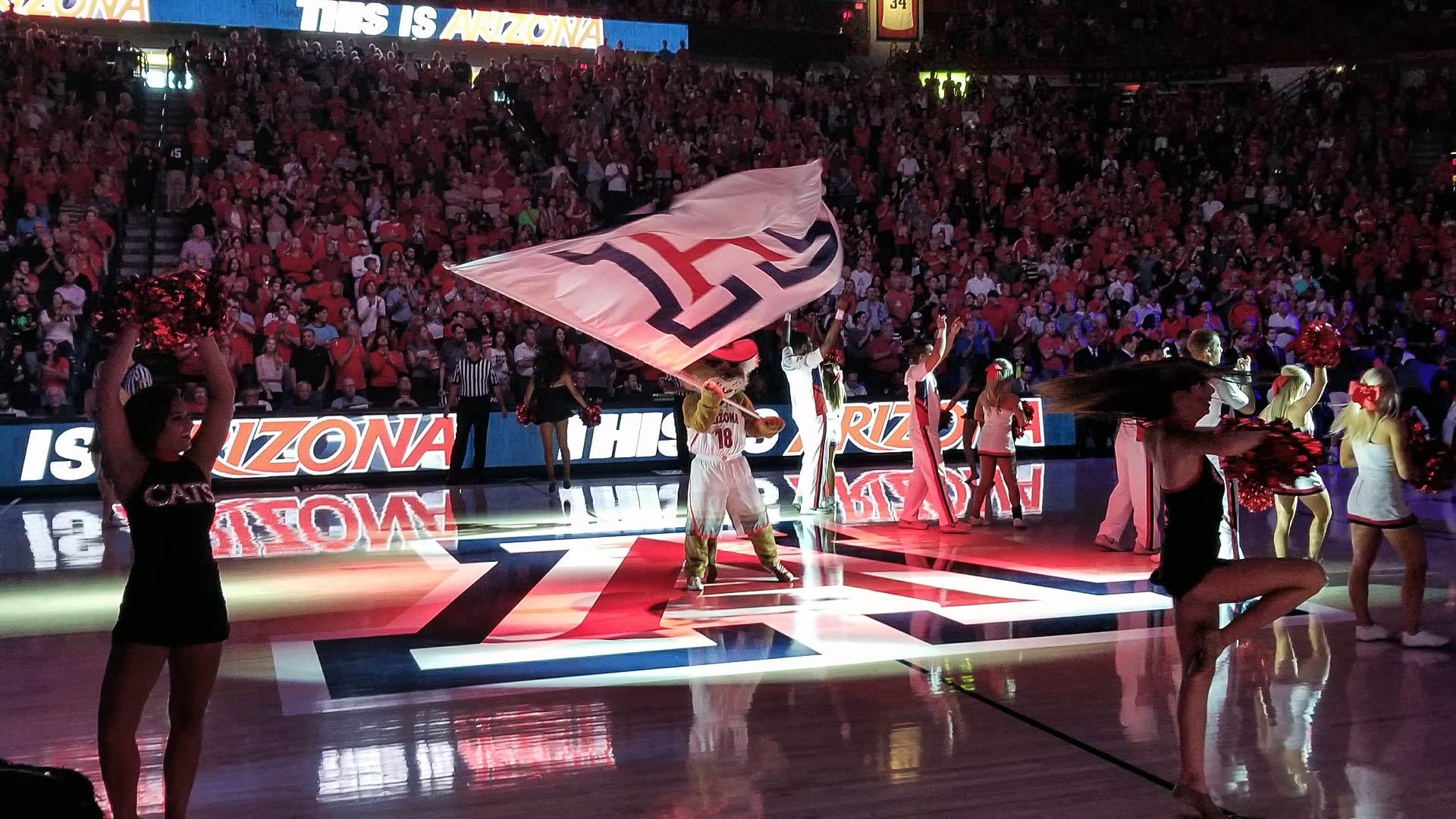 Wilbur the Wildcat waves a UA "Block A" flag before an exhibition match between the University of Arizona men's basketball team and Chico State on Nov 5, 2017.