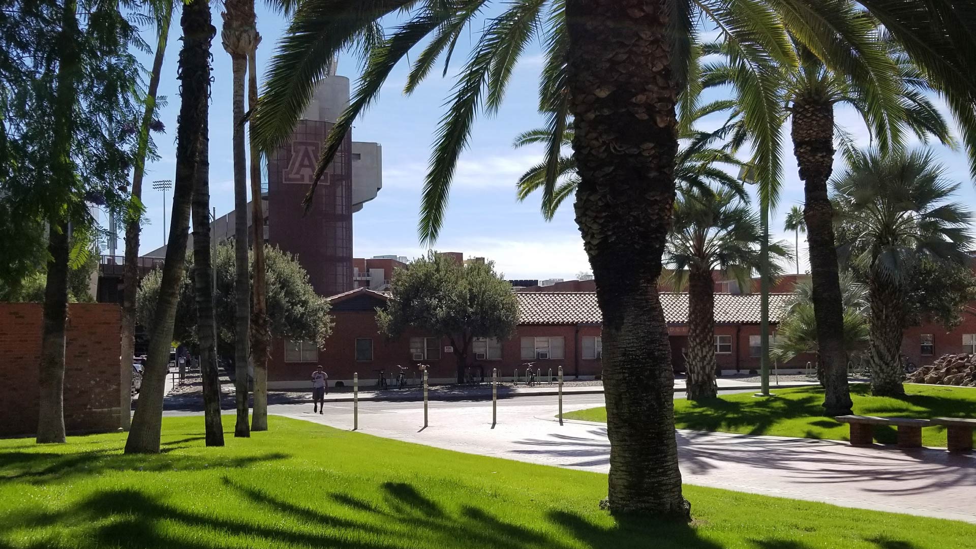 A shady, grassy area of the University of Arizona campus, facing south towards Arizona Stadium.
