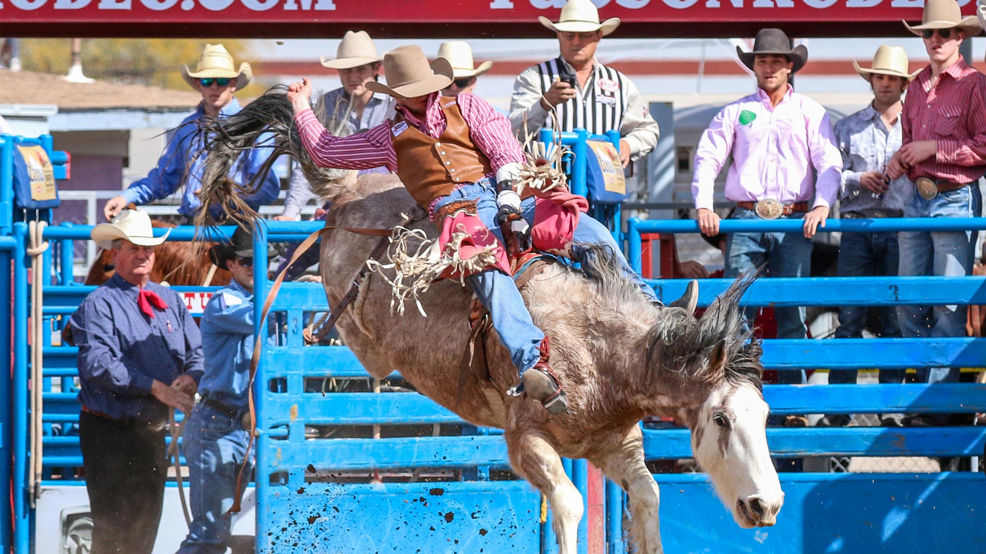 Bareback Rider at the La Fiesta de los Vaqueros.