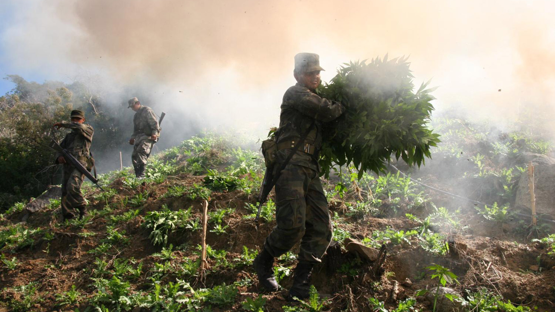 Mexican soldiers work in the mountains of Sinaloa burning this marijuana field, part of an eradication program supported by the United States.
