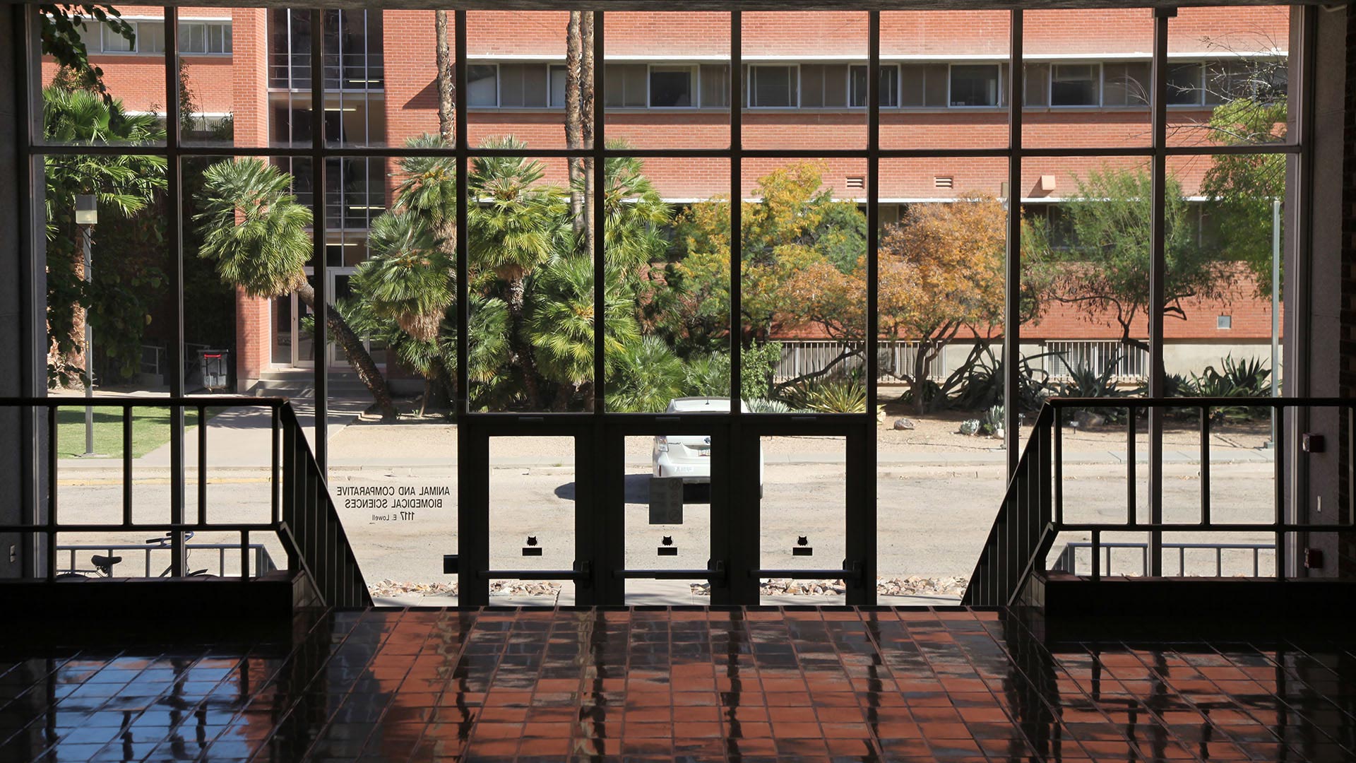 Looking out from the inside of Building 90, or the veterinary science and microbiology building.