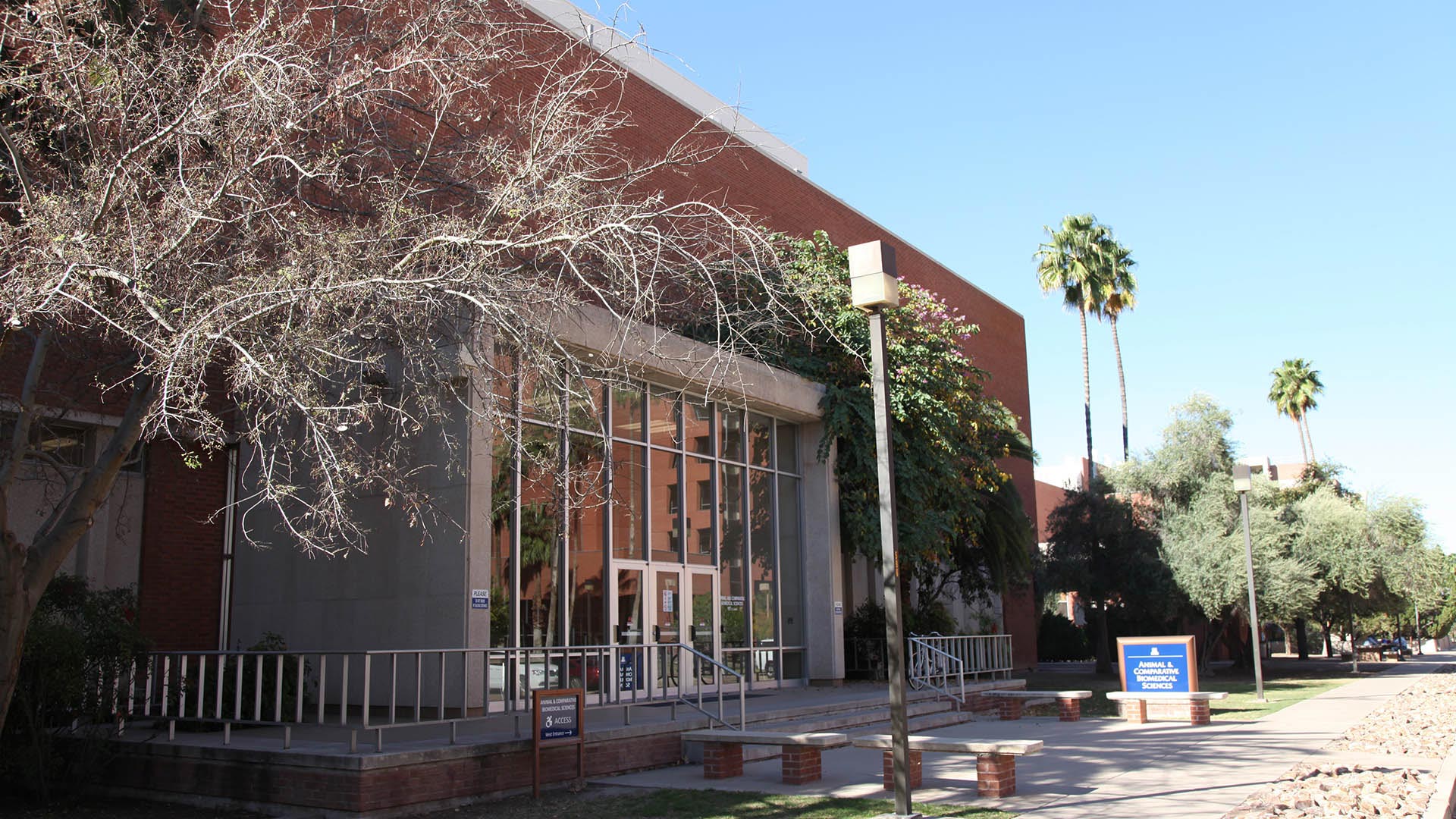 Building 90 has been referred to as a top priority for "renewal" by officials at the University of Arizona.