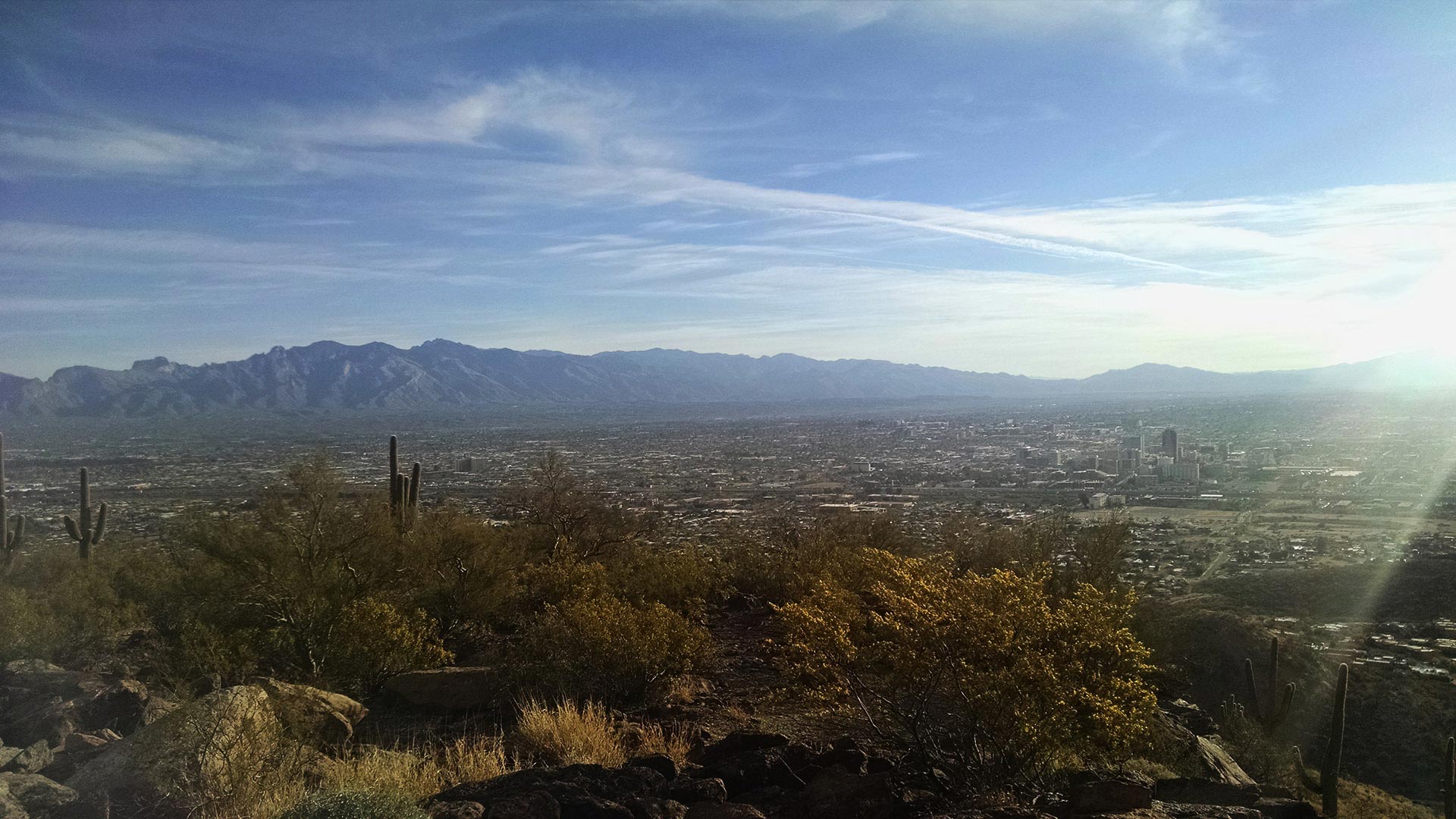 Tucson downtown skyline city tumamoc