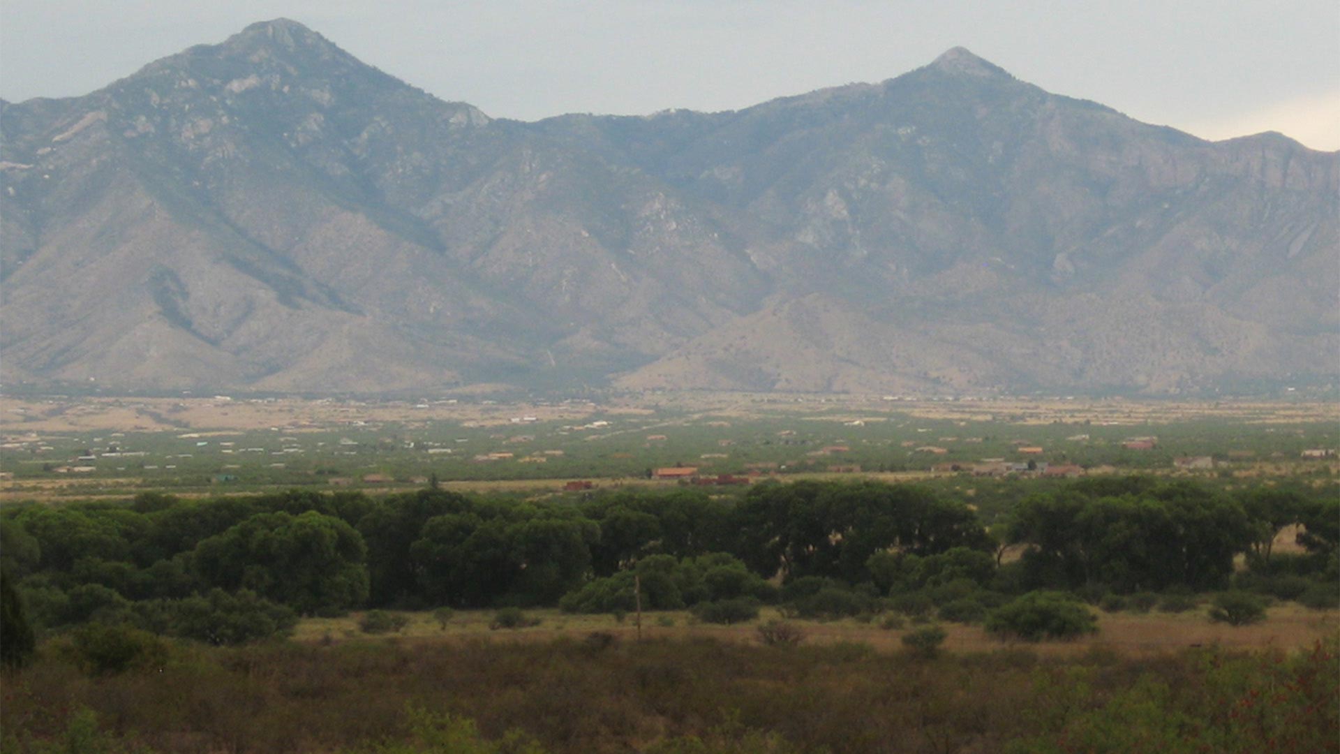 The San Pedro Riparian National Conservation Area.