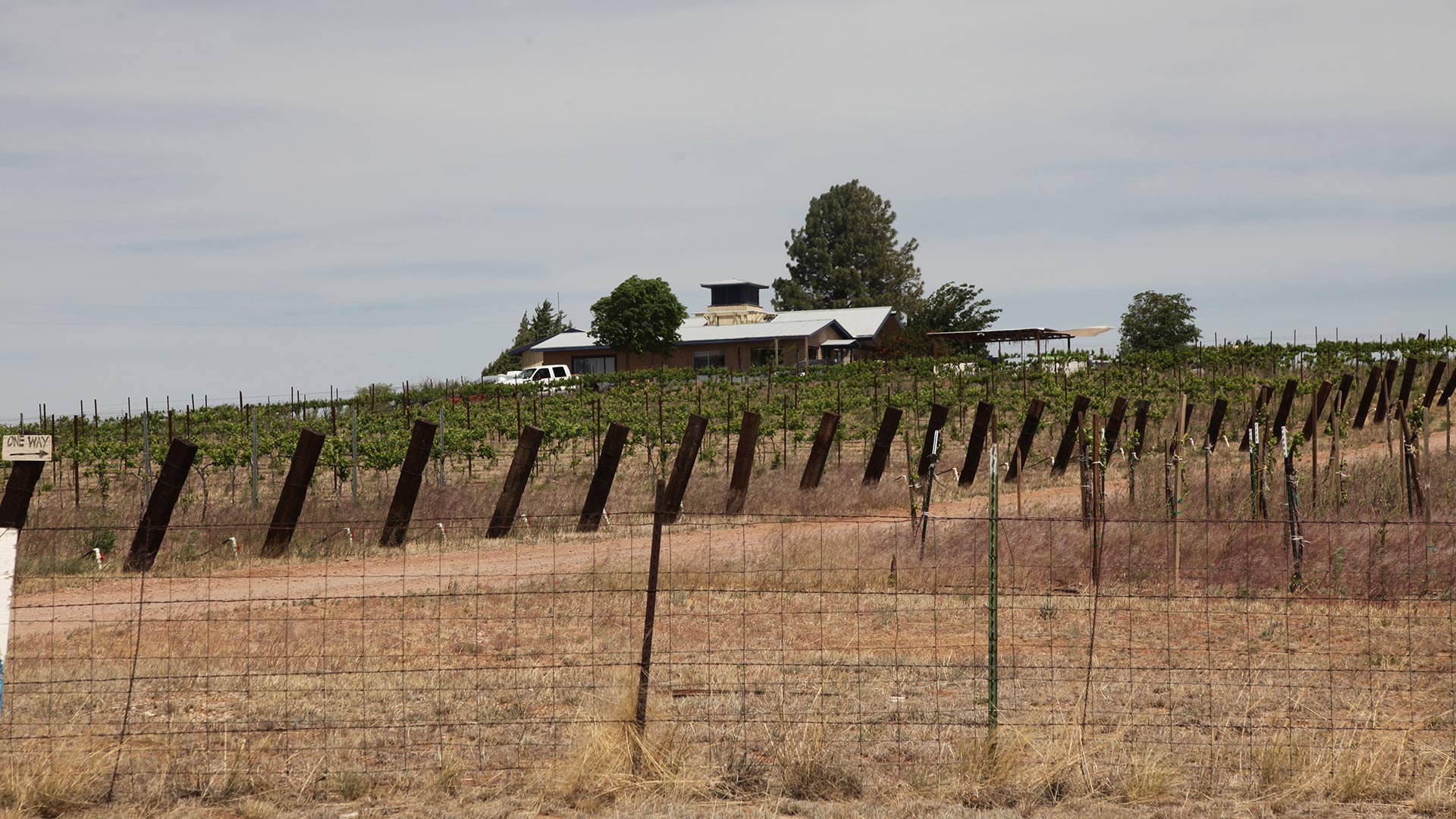 Winery from road