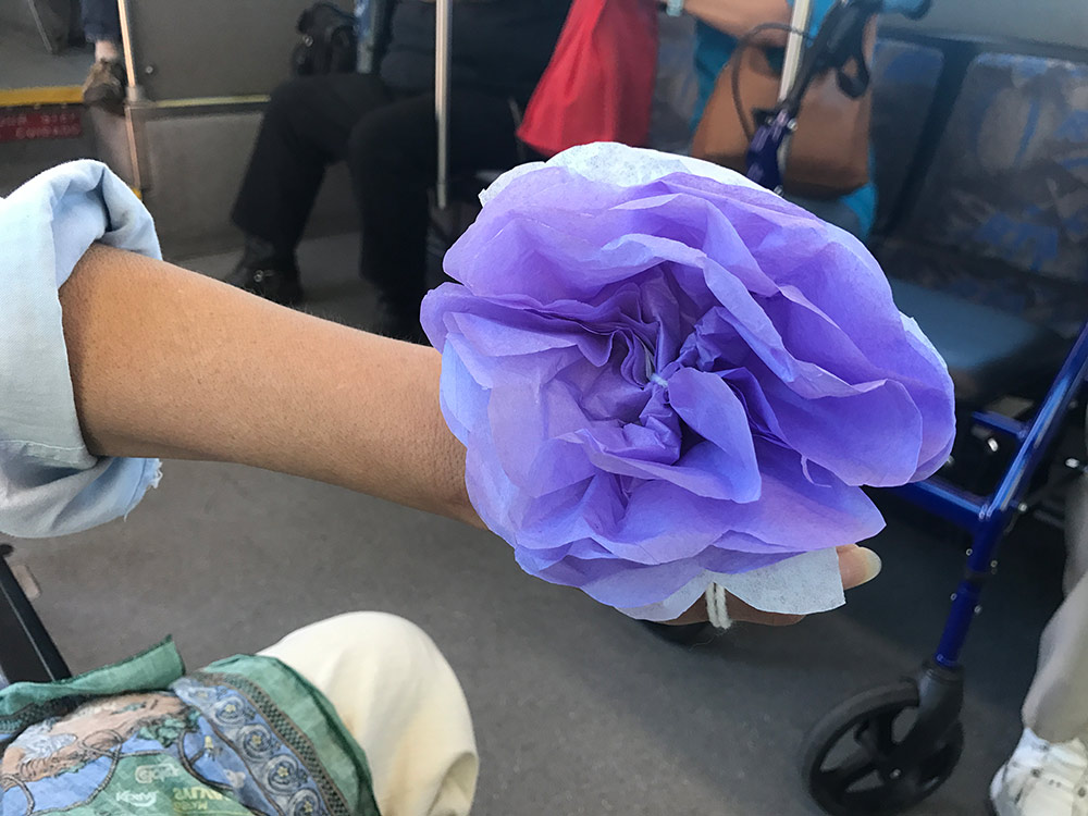 Purple flowers on the bus