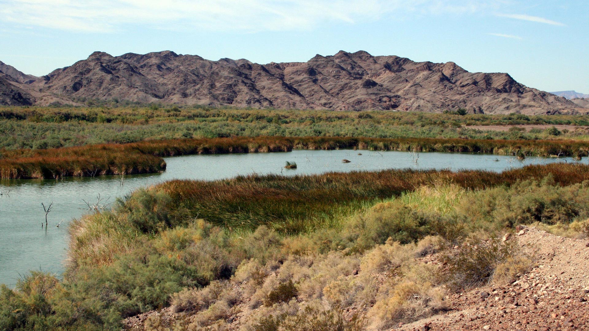 Image from a section of the Lower Colorado River Planning Area.