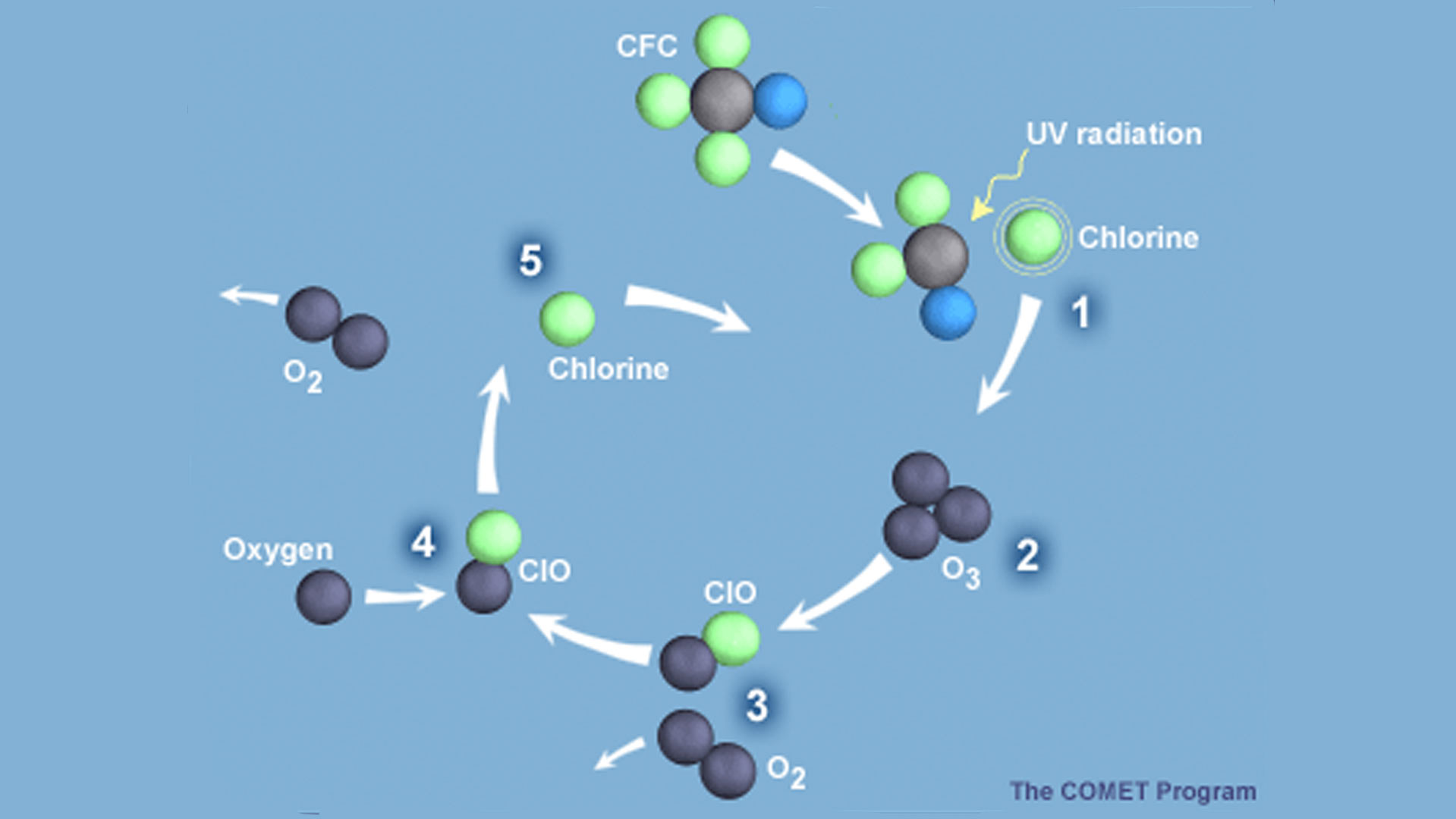 Once in the atmosphere, CFCs drift slowly upward to the stratosphere, where they are broken up by ultraviolet radiation, releasing the chlorine that catalytically destroys ozone. The destructive cycle of a chlorine atom is shown in the graphic.
