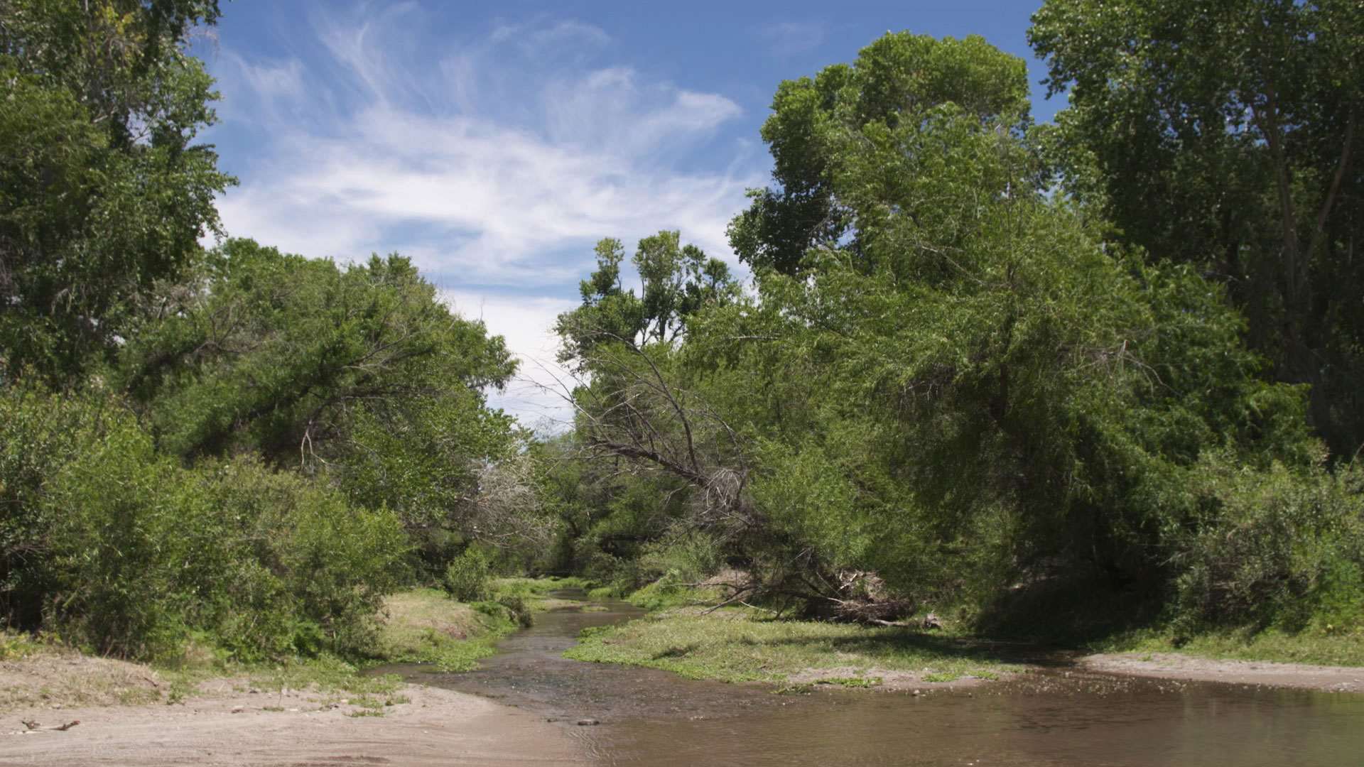 Gila topminnow river