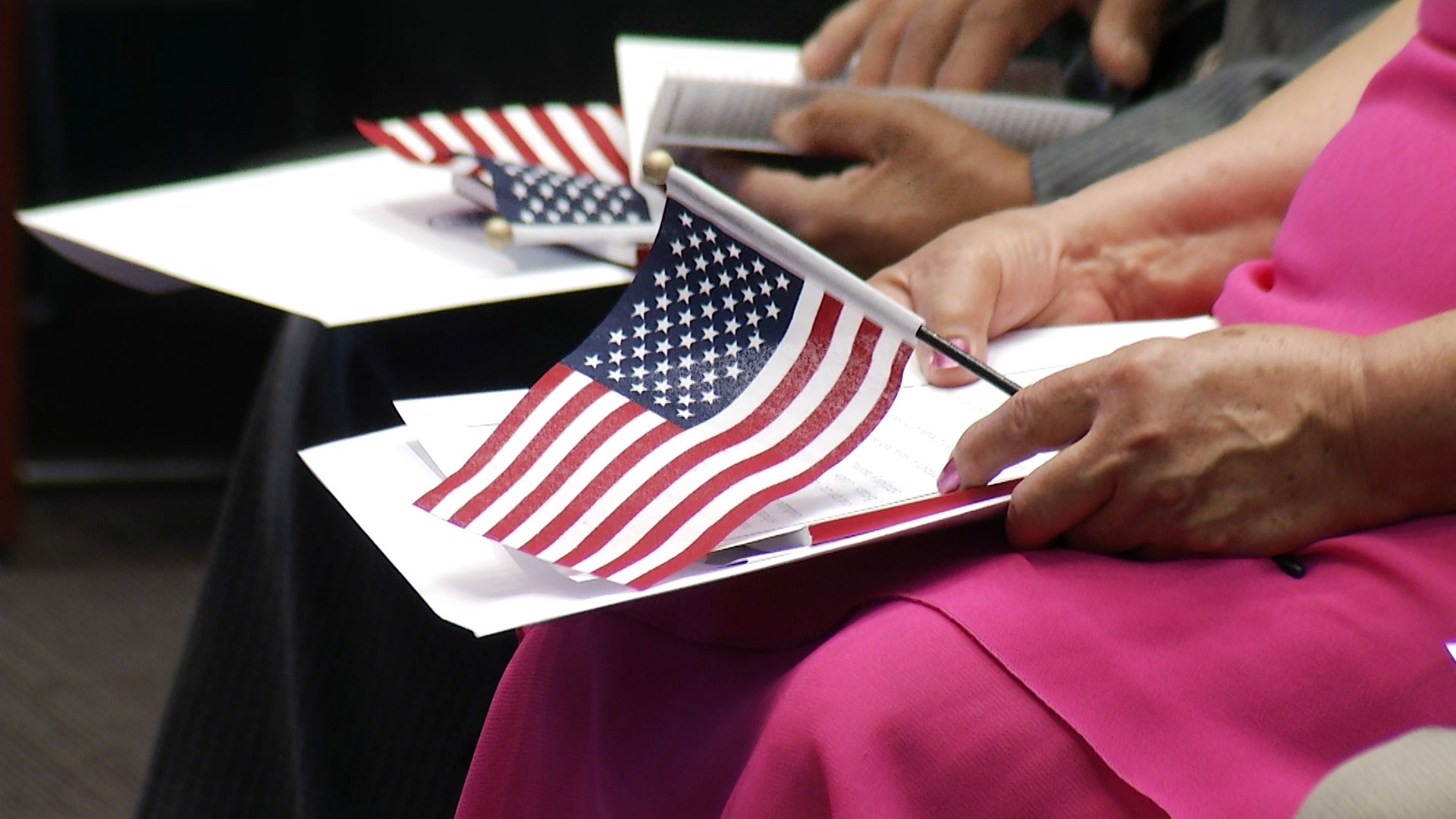 U.S. Citizenship and Immigration Services approved more than 6.6 million people to be citizens in the last decade.