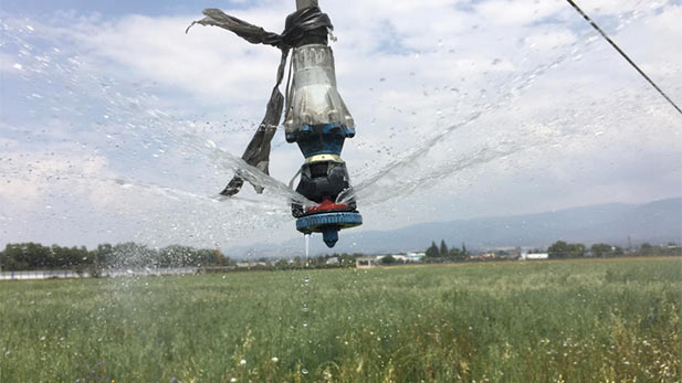 A sprinkler head in a Mexican field developed by students who have done engineering studies in Arizona.