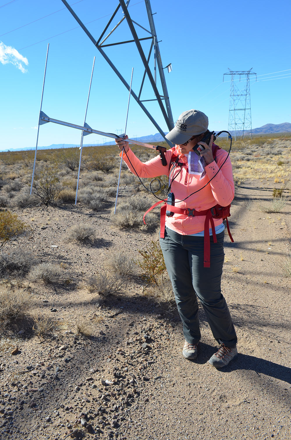 Searching for tortoises unsized