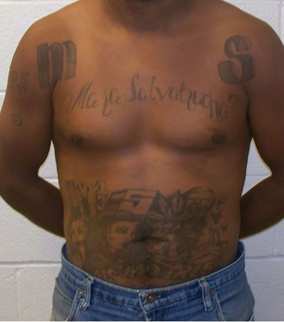 MS-13 Man Arrested