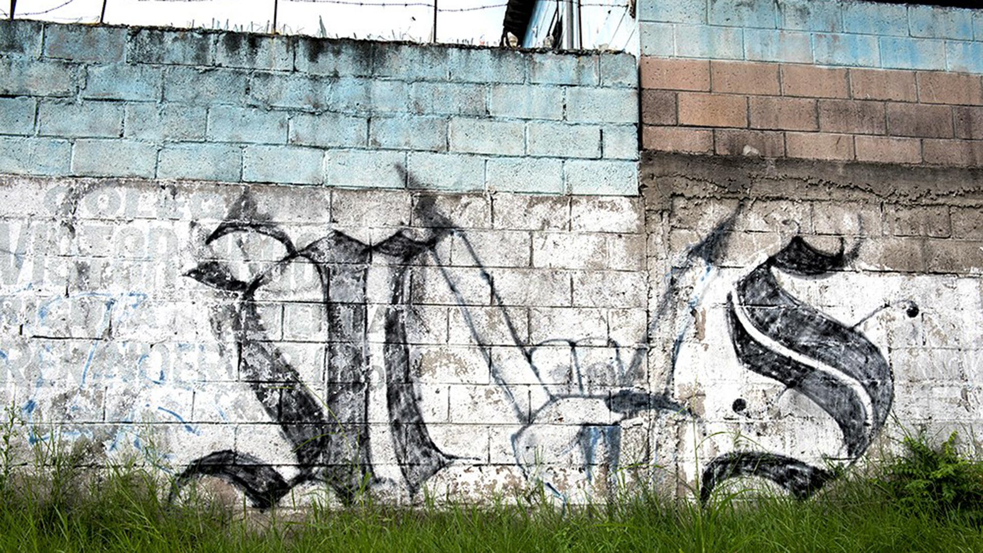 MS-13 gang graffiti on a wall.