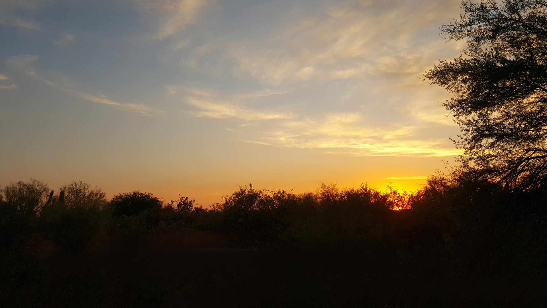 The sun sets after a hot summer day.