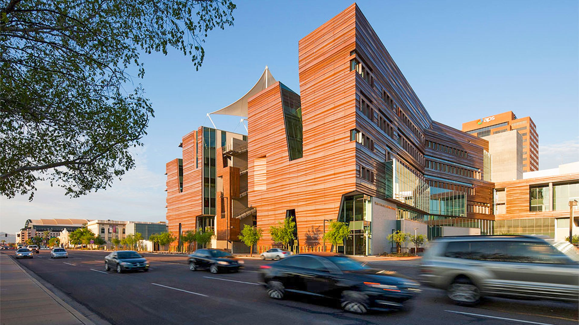 The University of Arizona College of Medicine in Phoenix.