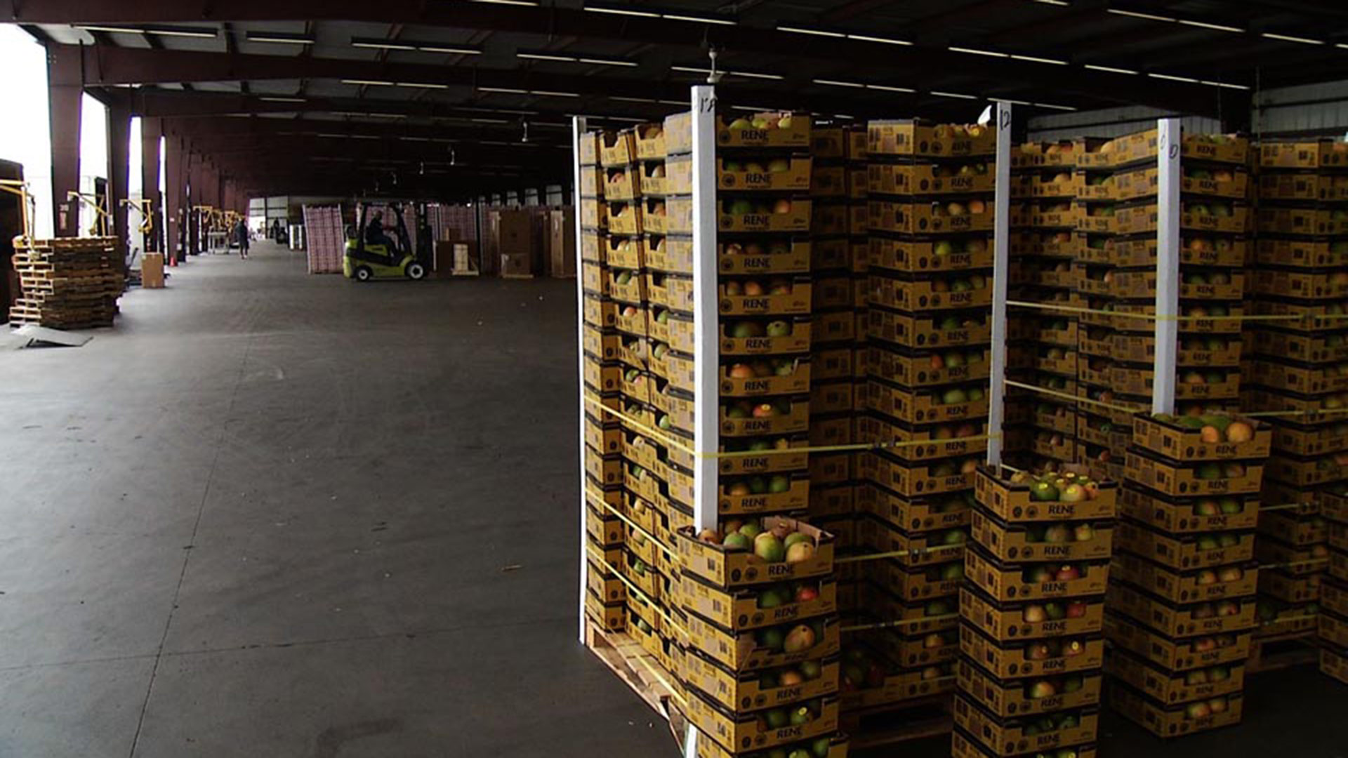 Fruit stacked at the Mariposa Port of Entry.