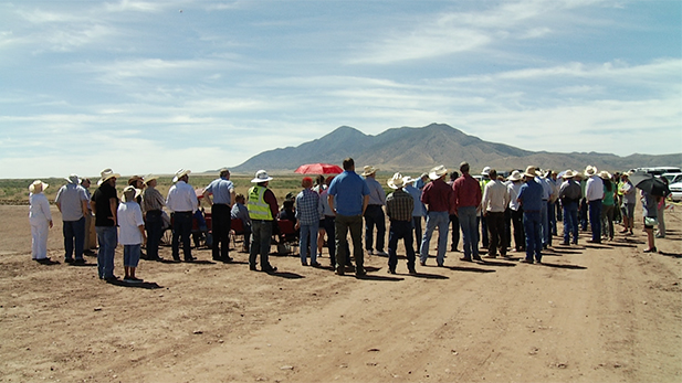 Horseshoe crowd