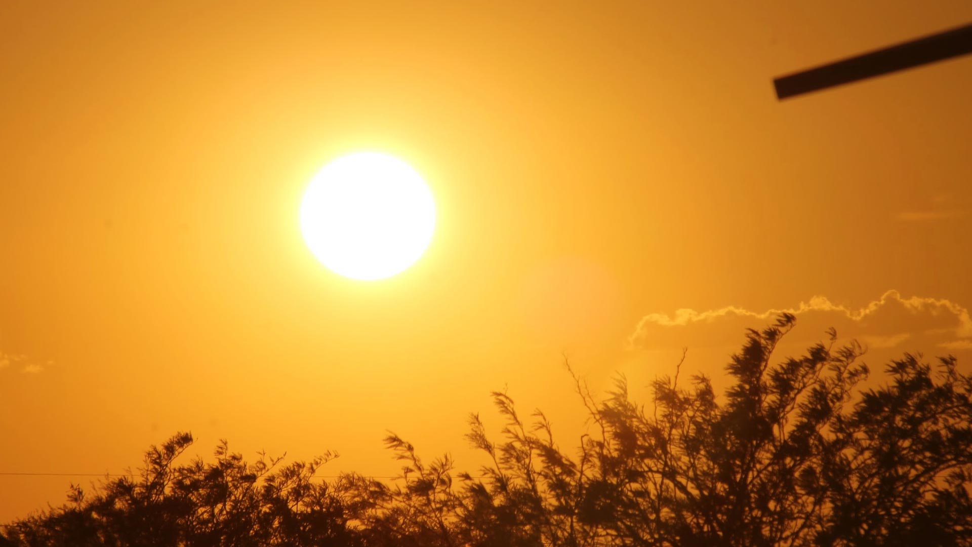 Tucson weather: 100-degree weather, sunny skies