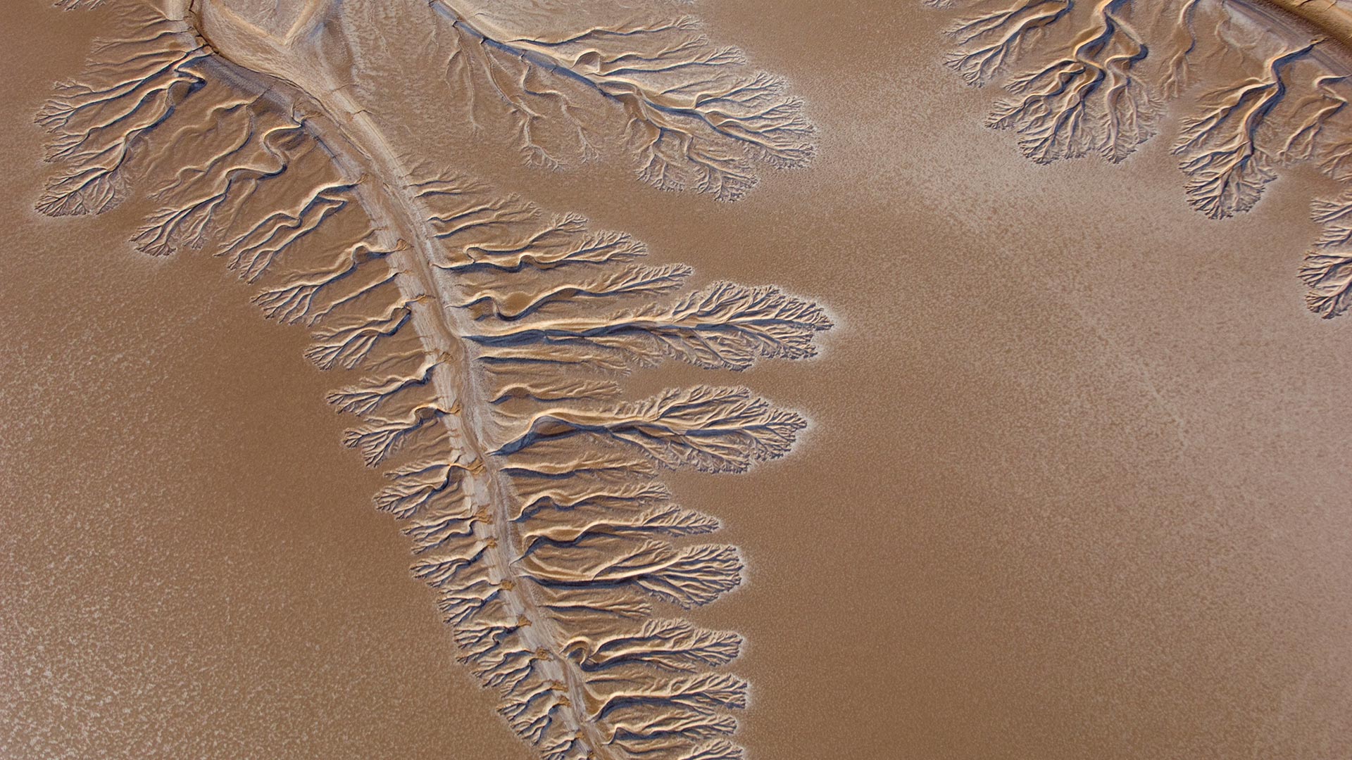 The dry Colorado River Delta in 2009.