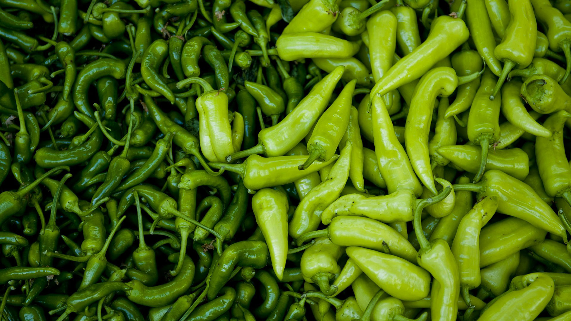 Fresh peppers.