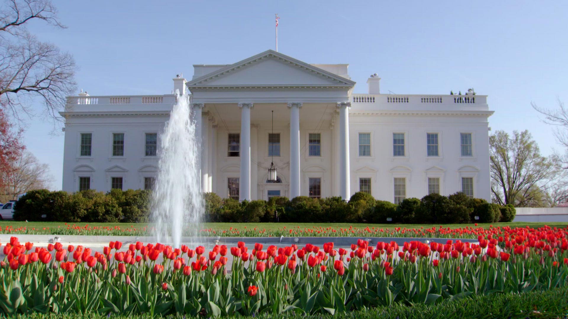 The White House's south lawn.