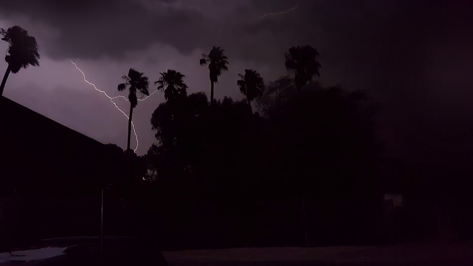 Lightning from a monsoon storm silhouettes palm trees against a dark sky. From July 2017.