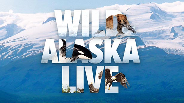 Wild Alaska Live logo spot