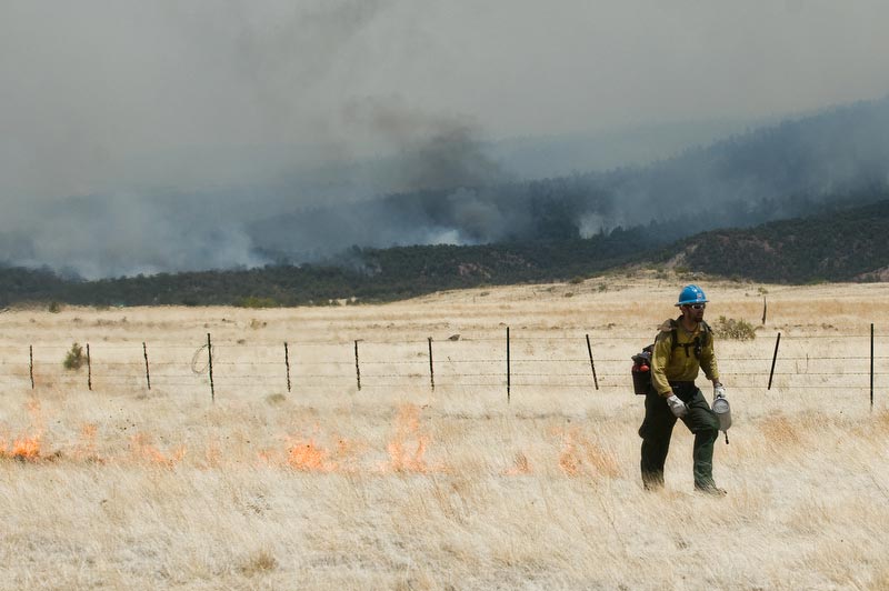 Firefighter, Wildfire view larger