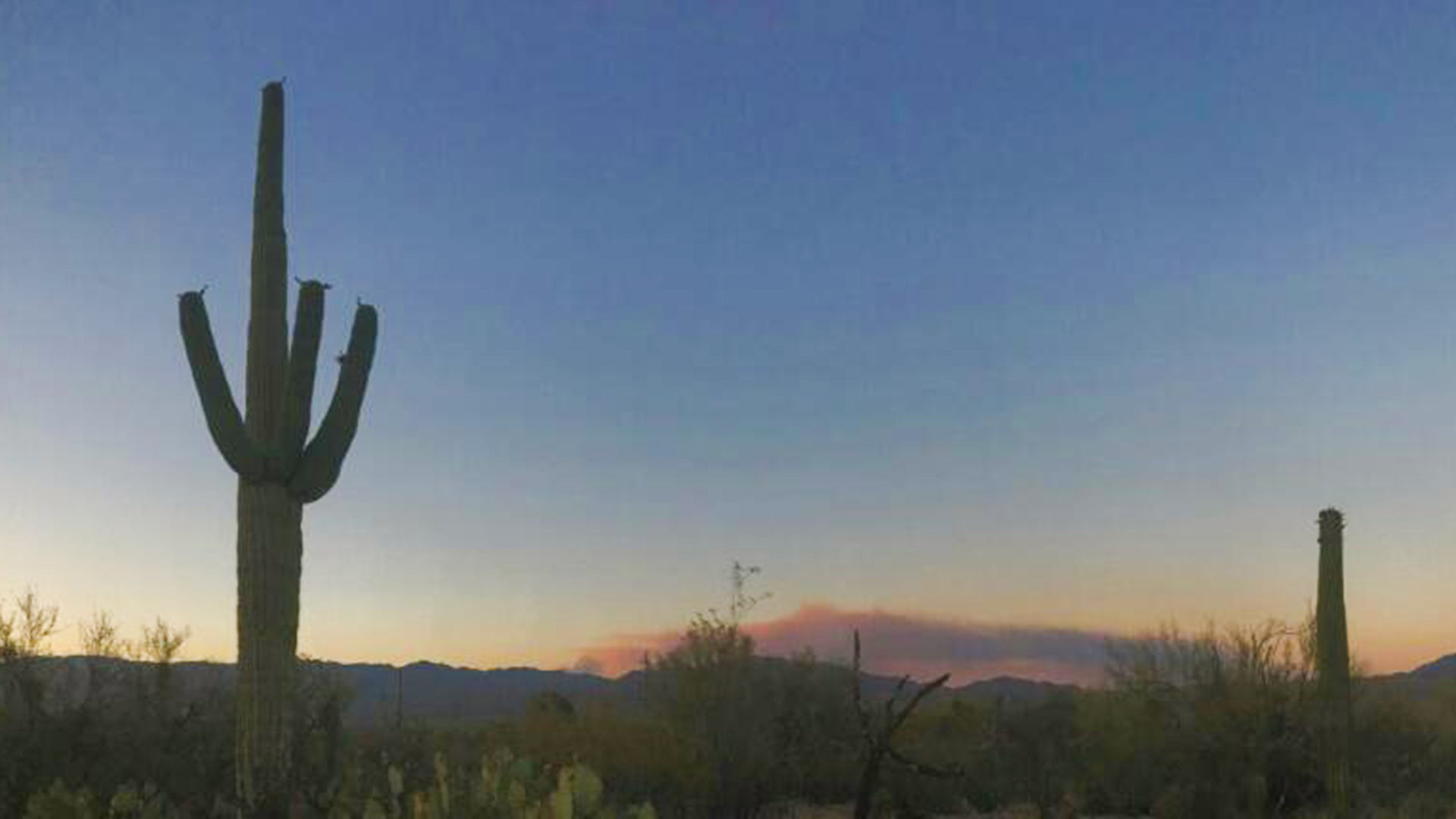 Smoke from the Burro Fire wildfire, July 1.