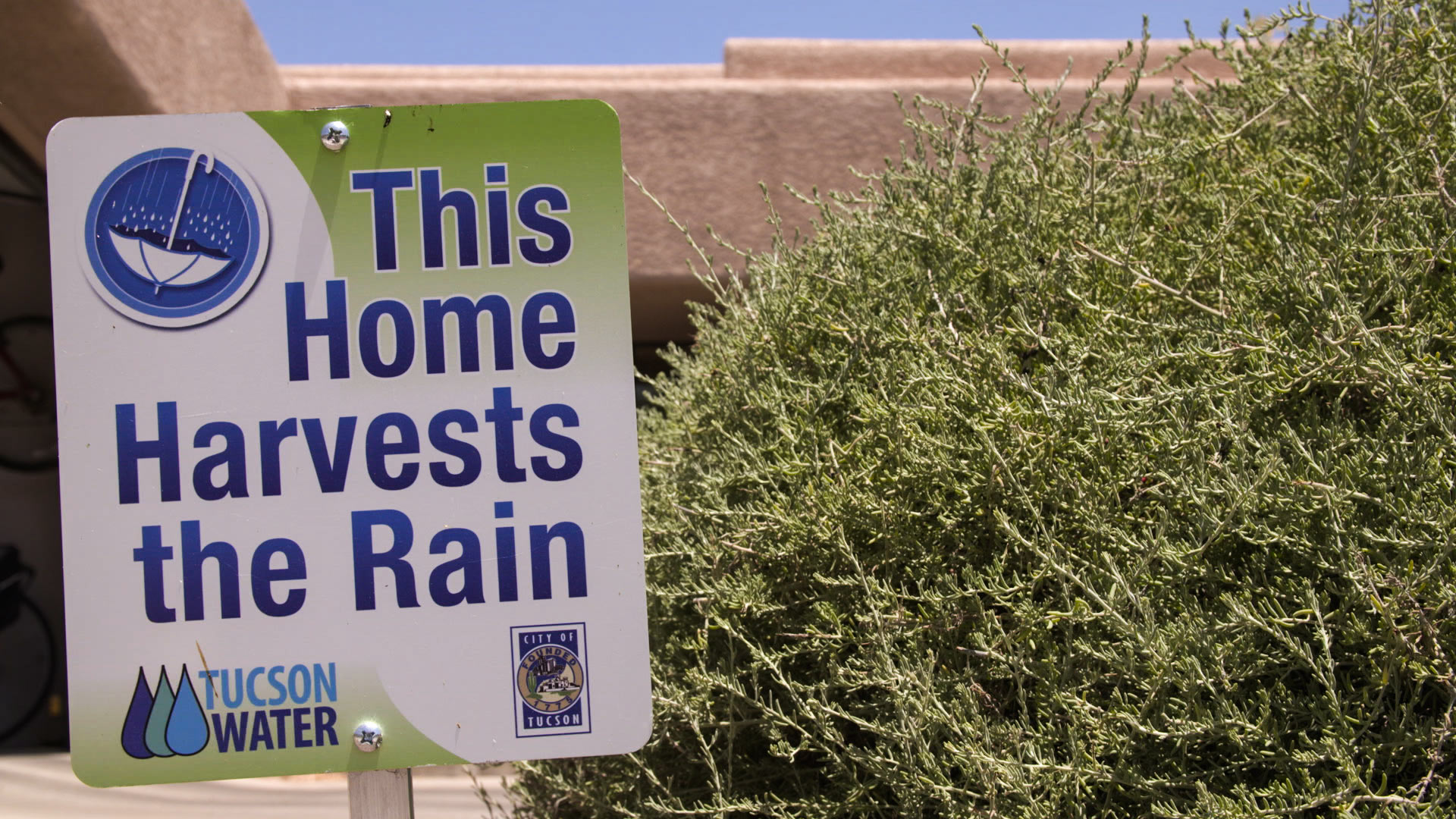 Many Southern Arizona residents employ water-saving techniques, like rainwater harvest.