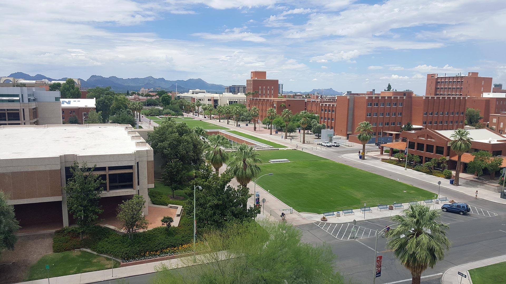 Looking down at the mall on the campus of the University of Arizona. 