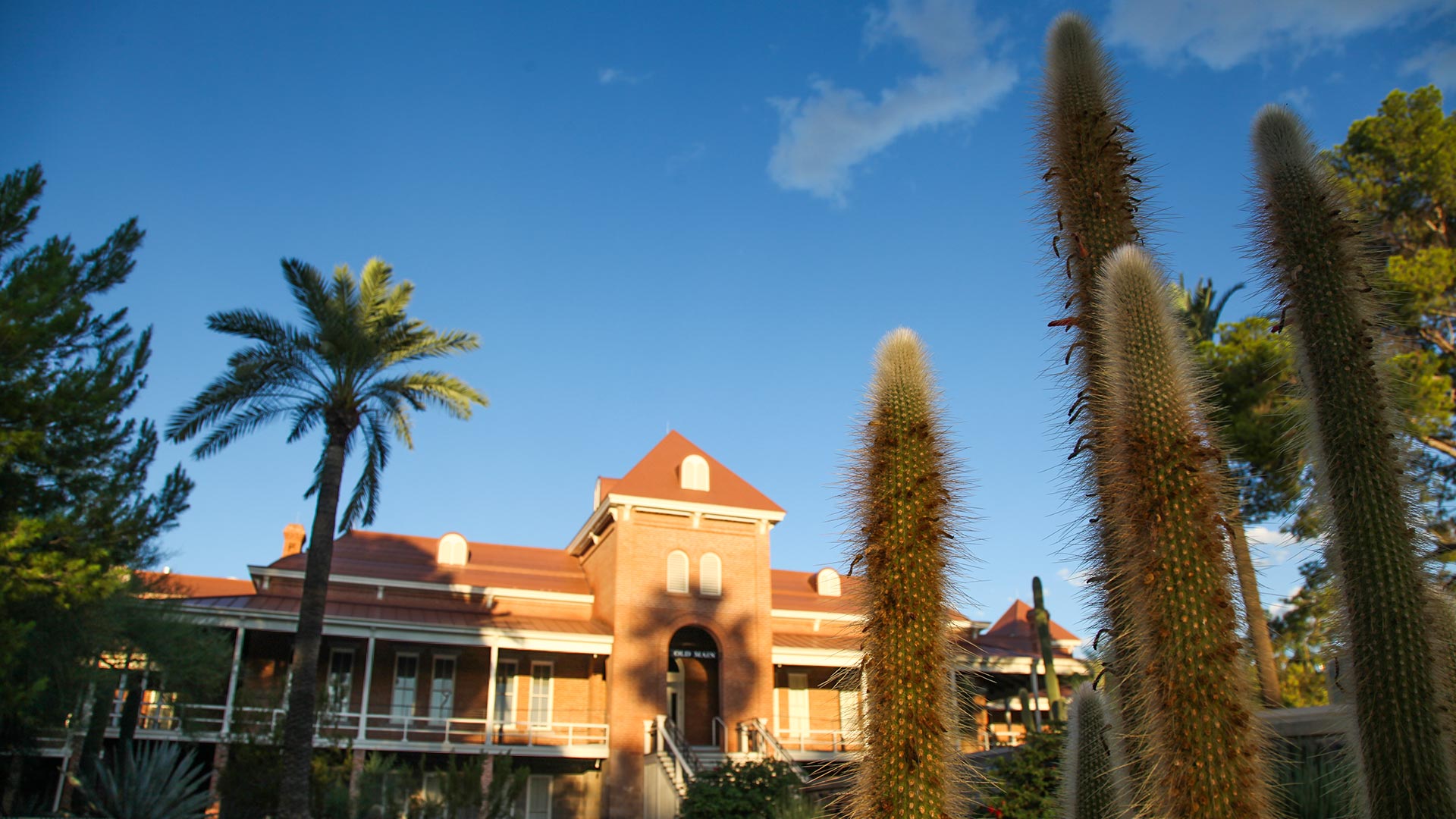 The west side of Old Main on the University of Arizona campus. 