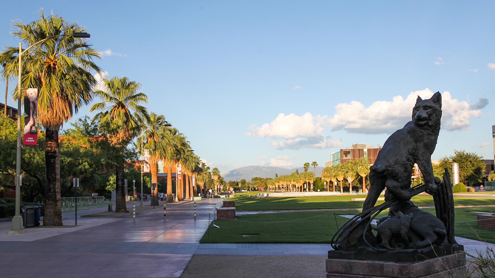 Looking east along the University of Arizona campus mall.