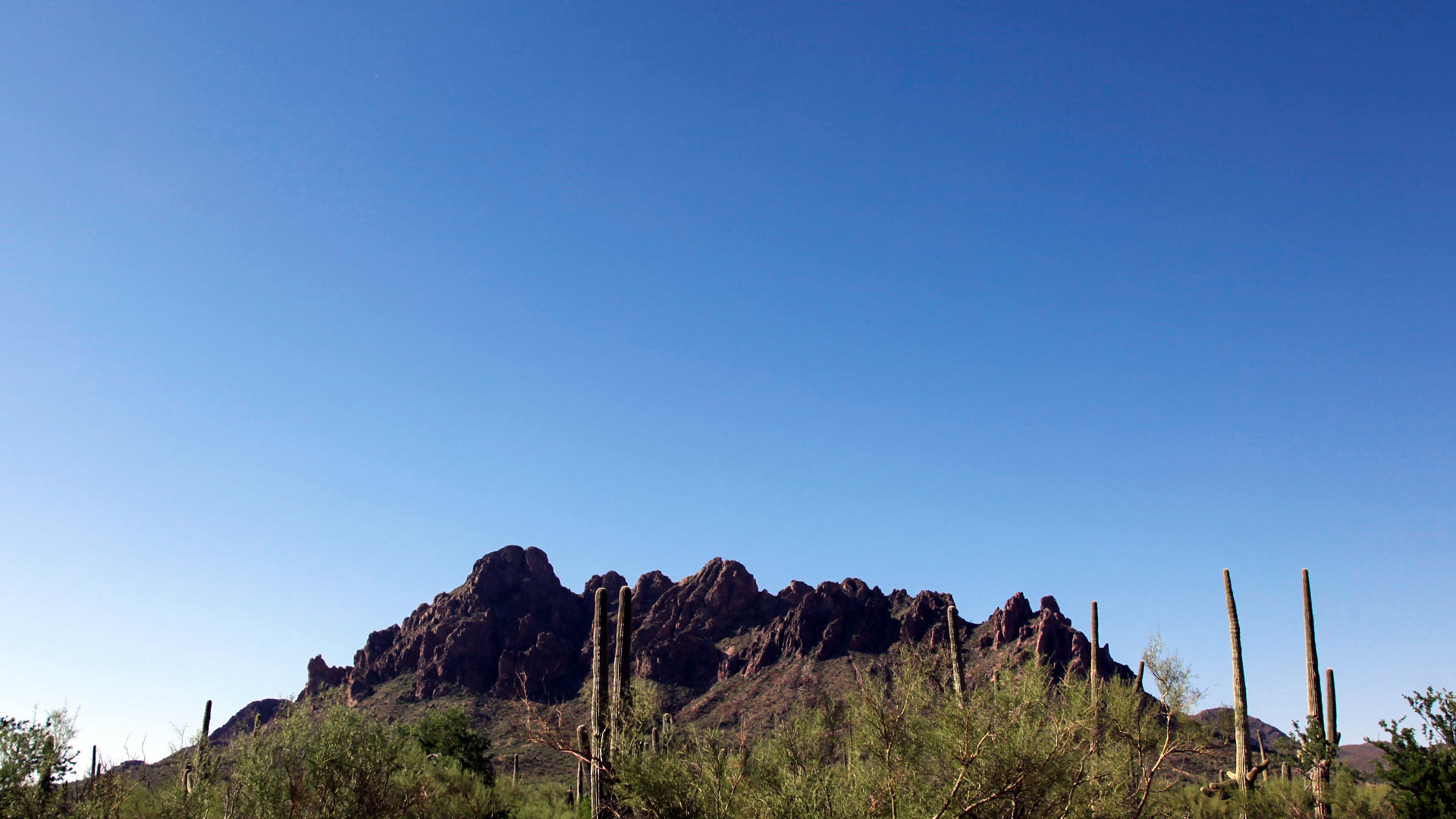 Ragged Top Peak, Ironwood Forest National Monument hero