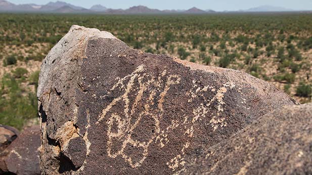 Cocoraque Butte petroglyph