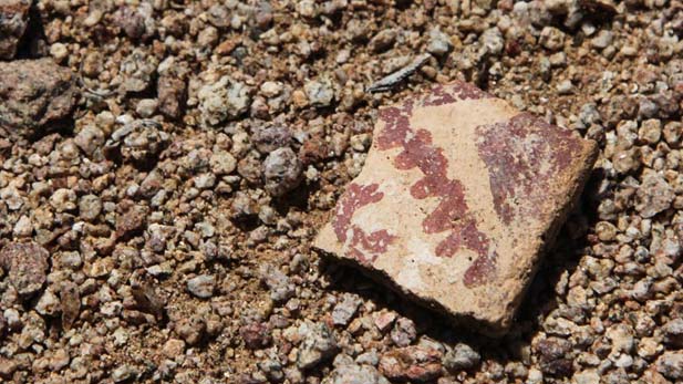 Pottery sherds