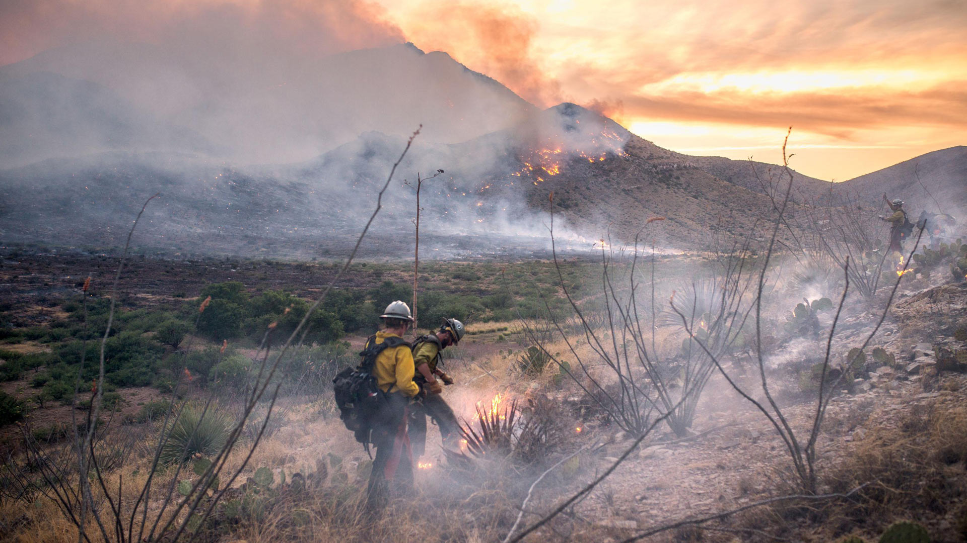 Firefighters battle the Lizard Fire on a smoky hillside, 2017.