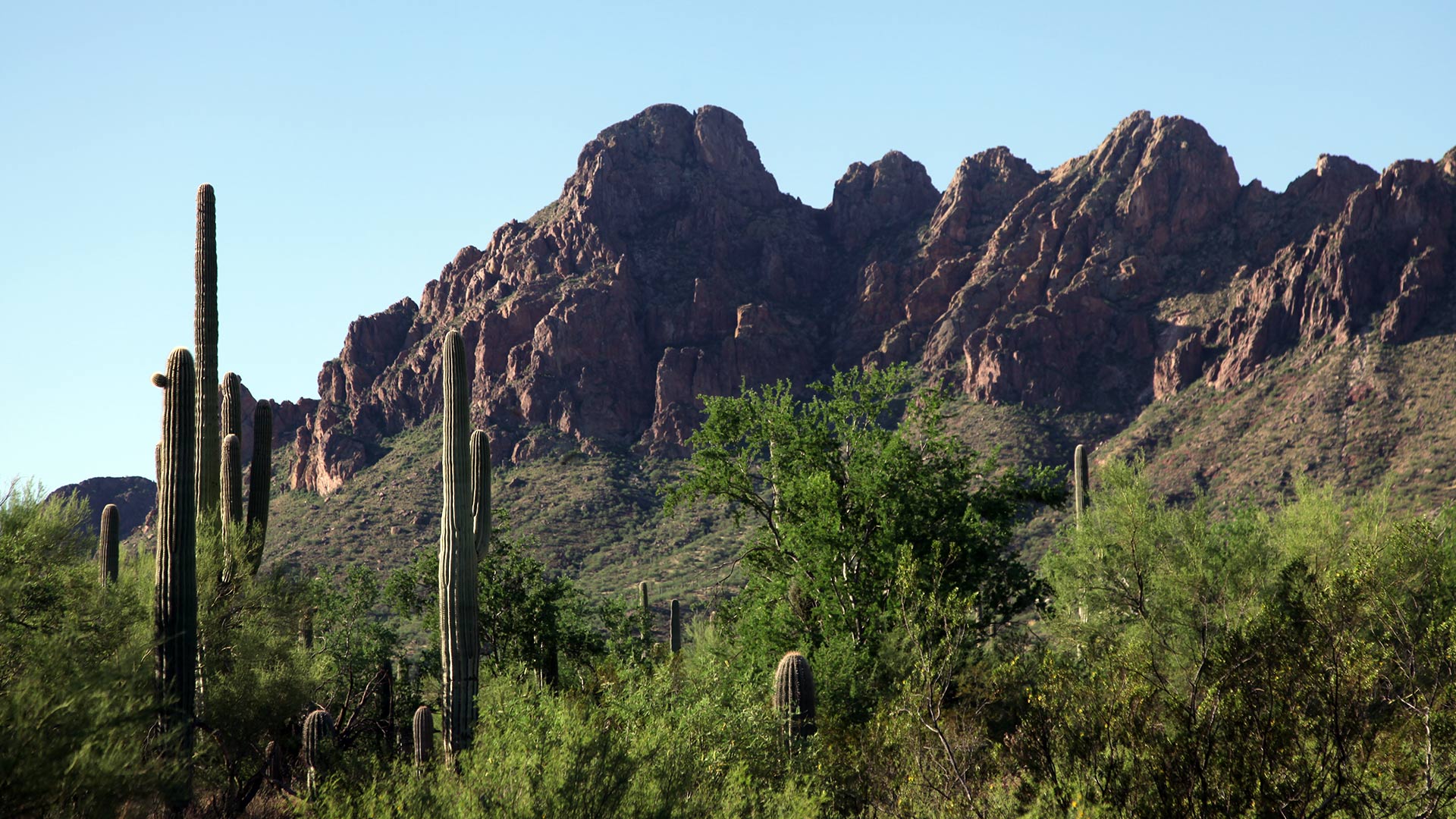 Ragged Top Peak in Ironwood Forest National Monument.