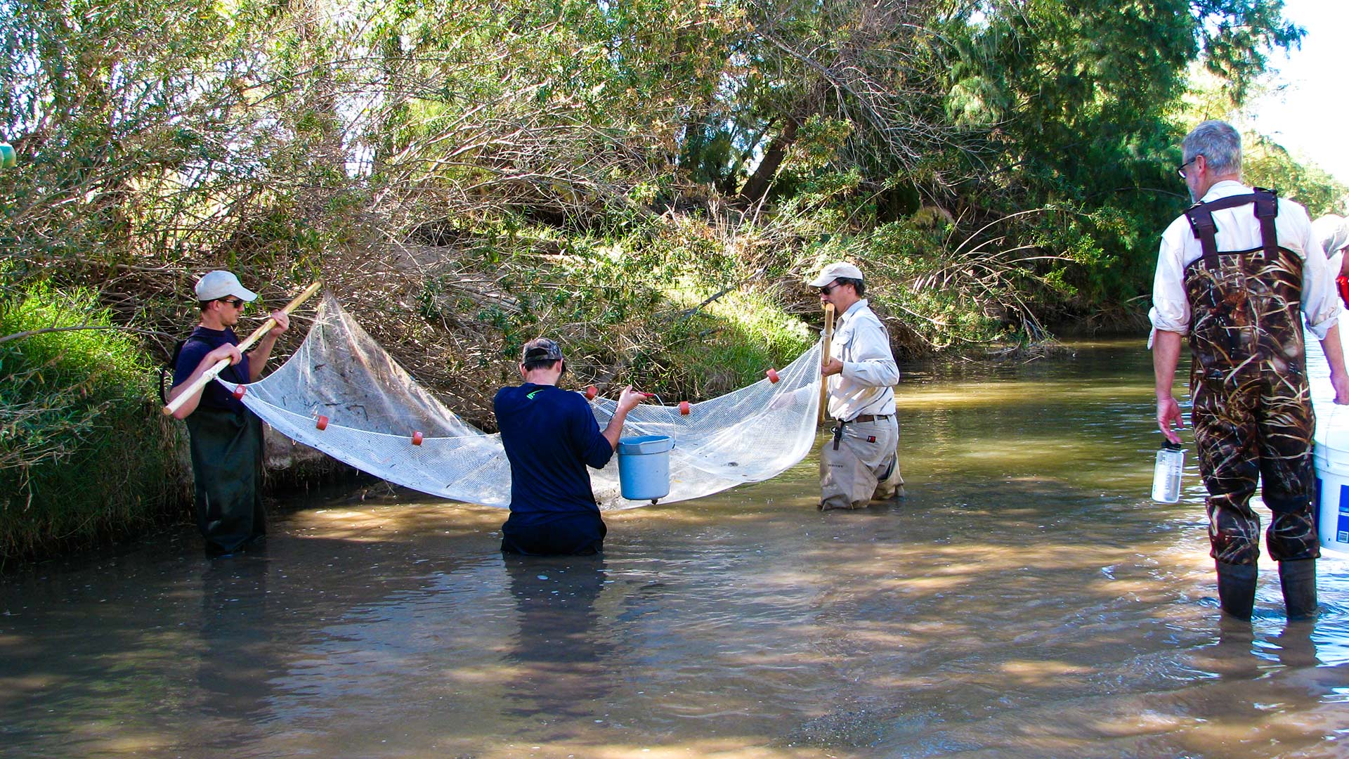 Lower Santa Cruz River study hero