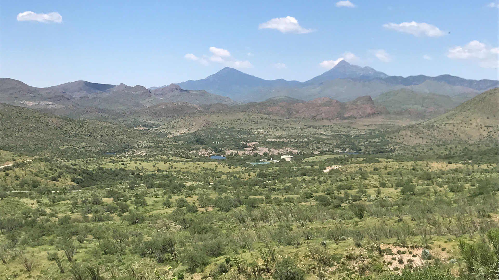 Patagonia Lake State Park and surrounding protected areas provide habitats for many species of wildlife. 