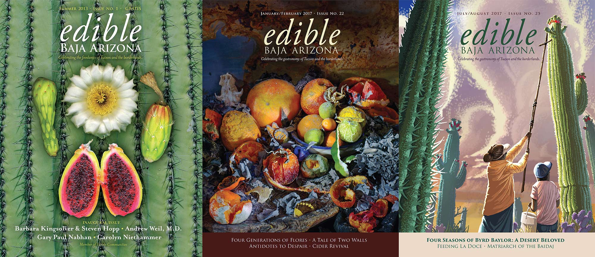 Edible Baja Arizona Magazine view larger