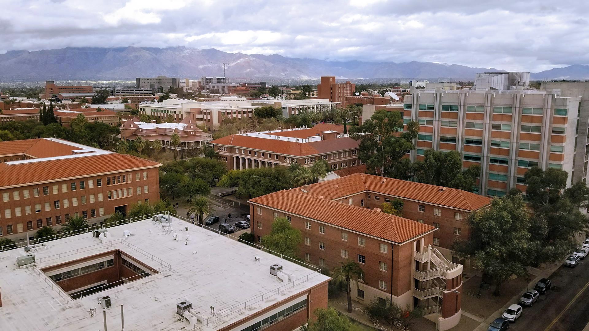 Looking across the University of Arizona campus towards the Catalina Mountains.