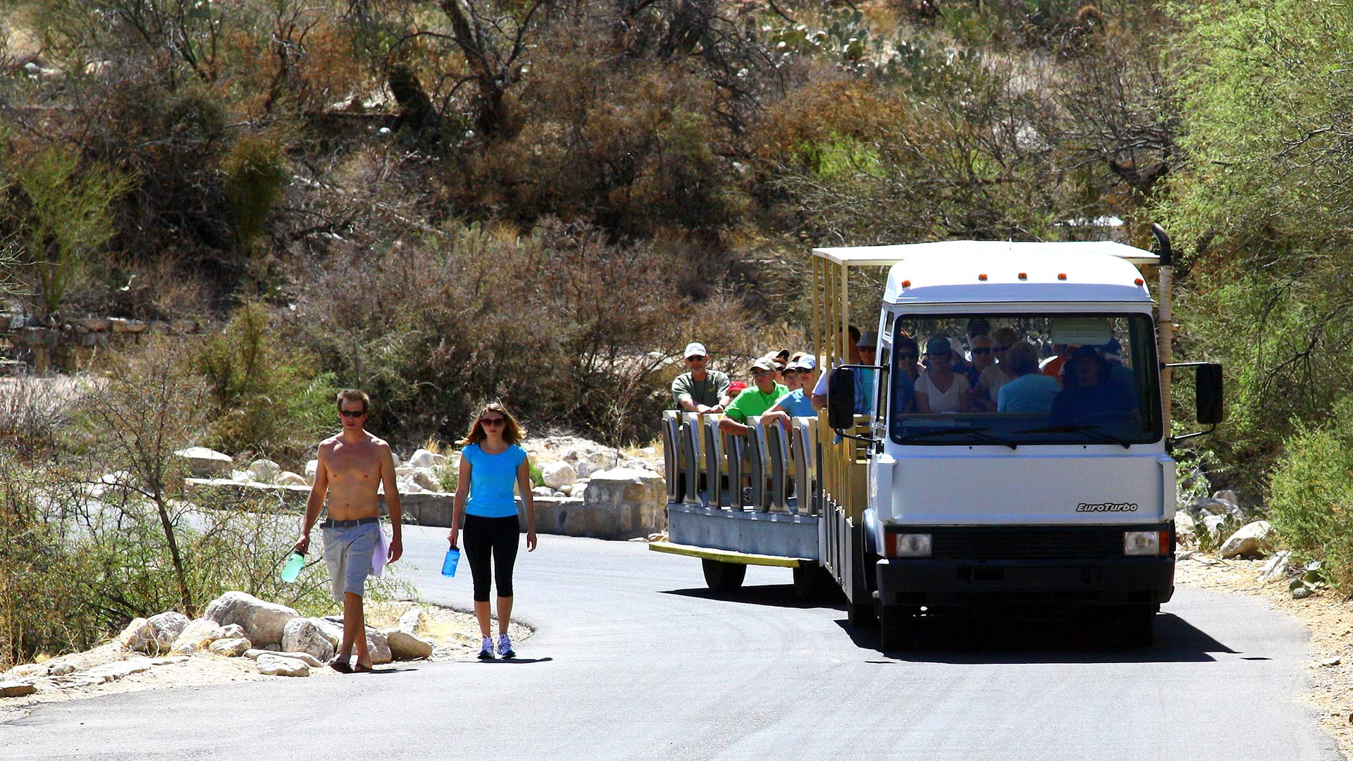 The tram at Sabino Canyon, 2011 (CC BY 2.0).